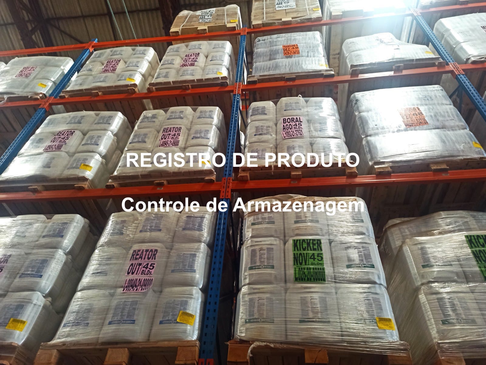 WhatsApp Image 2023-06-28 at 9.58.54 AM.jpeg