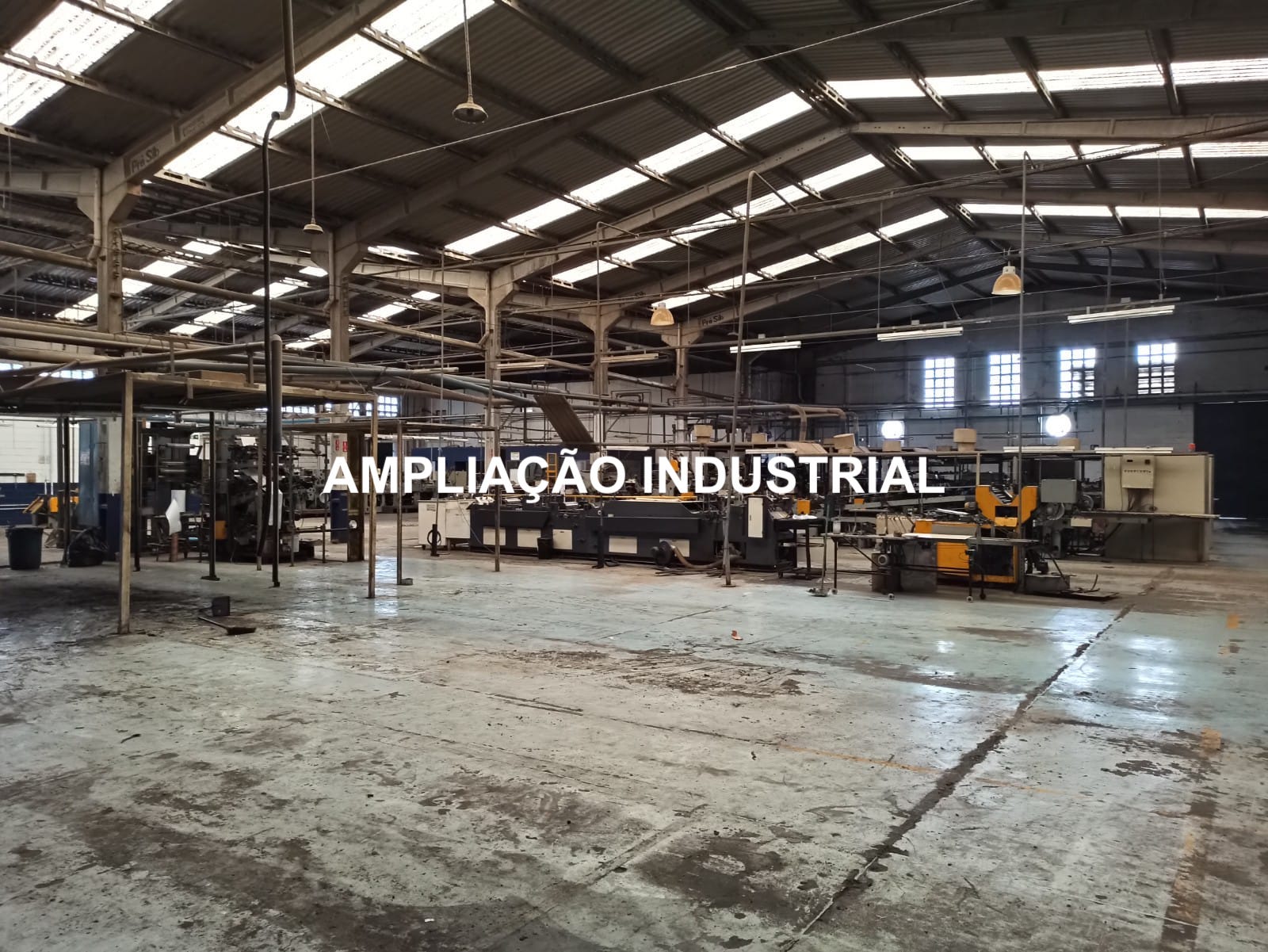 WhatsApp Image 2023-06-28 at 9.59.02 AM.jpeg